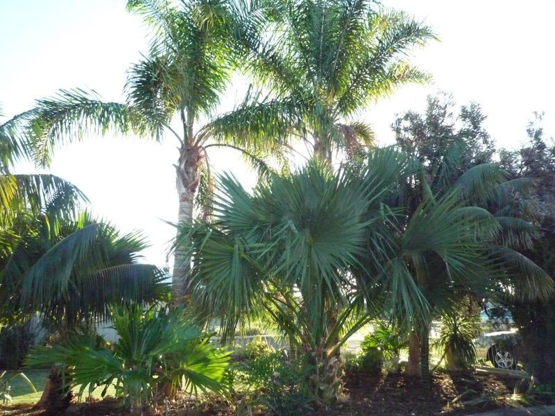 14 Maroonah Road, Golden Bay WA 6174