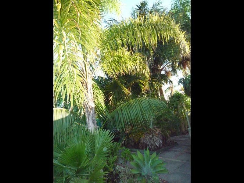 14 Maroonah Road, Golden Bay WA 6174