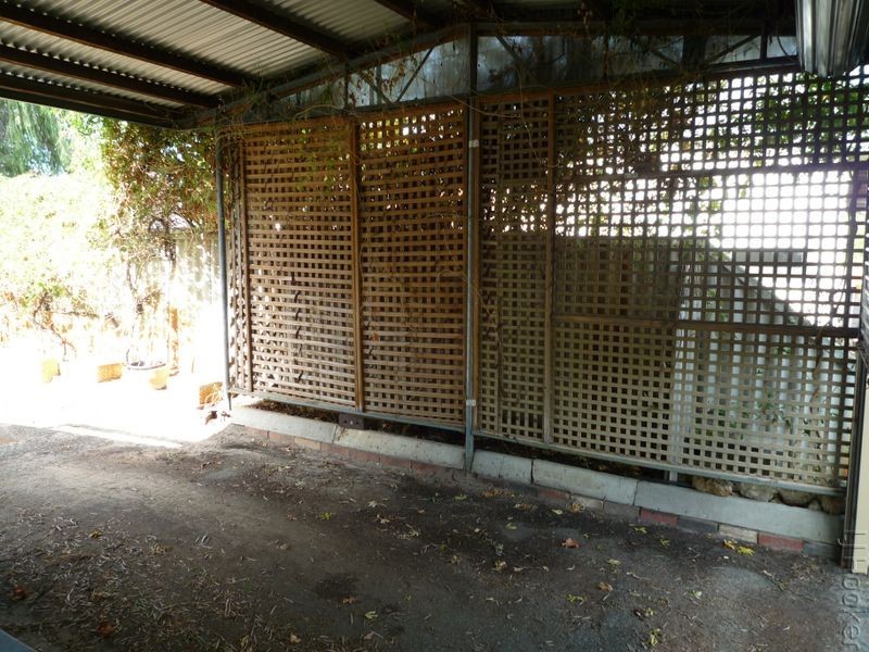 31 Dorothy Avenue, Falcon WA 6210