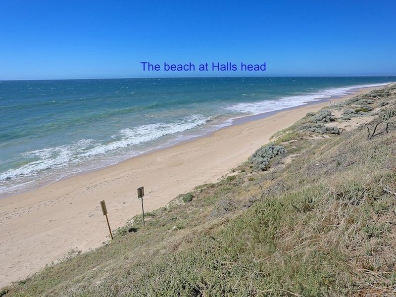 10 Cathryn Street, Halls Head WA 6210