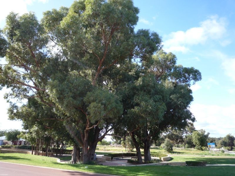 10 Innes Parkway, Lakelands WA 6180