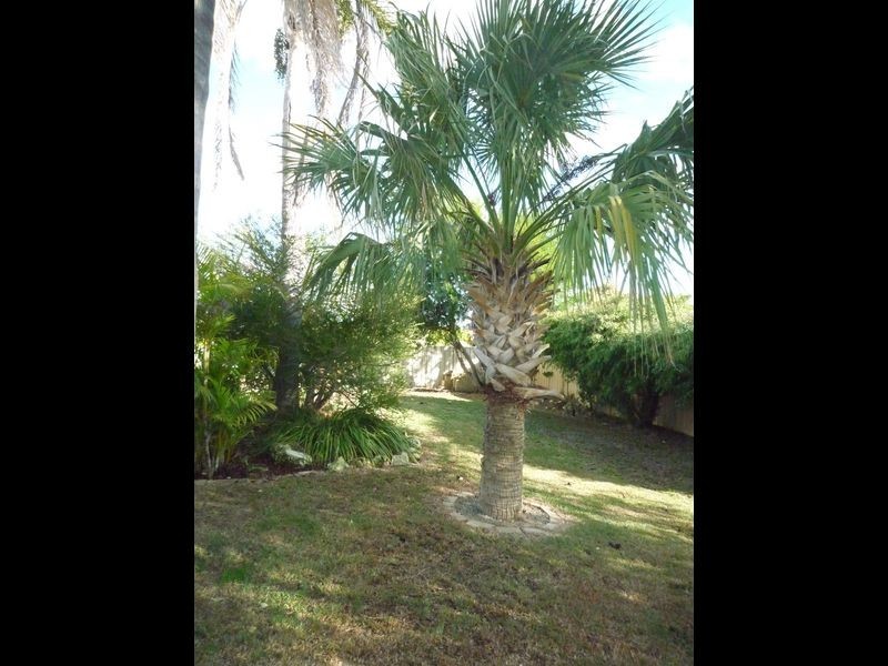 193 Mclarty Road, Halls Head WA 6210
