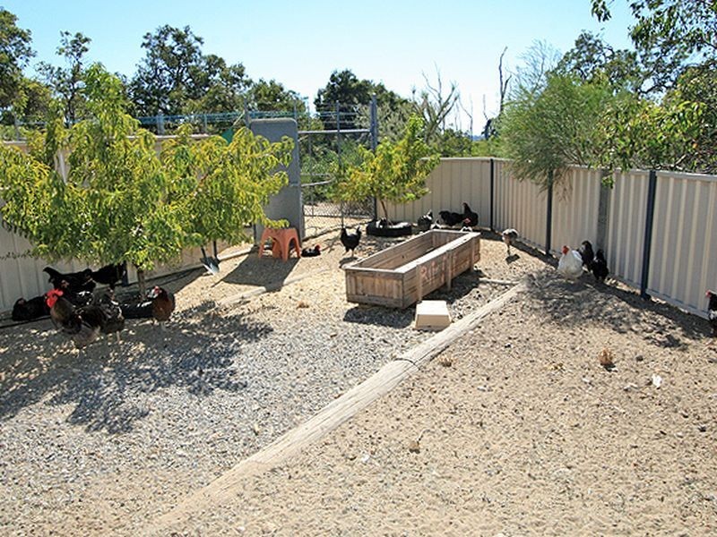 33 Ridgewood Drive, Dawesville WA 6211