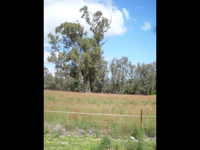 46 Gibbs Circle, Ravenswood WA 6208