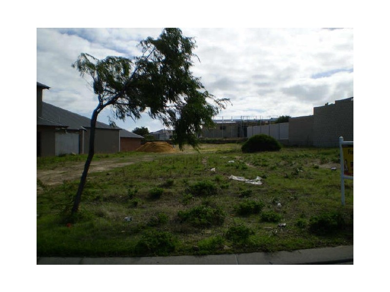 22 Australis Circle, Wannanup WA 6210