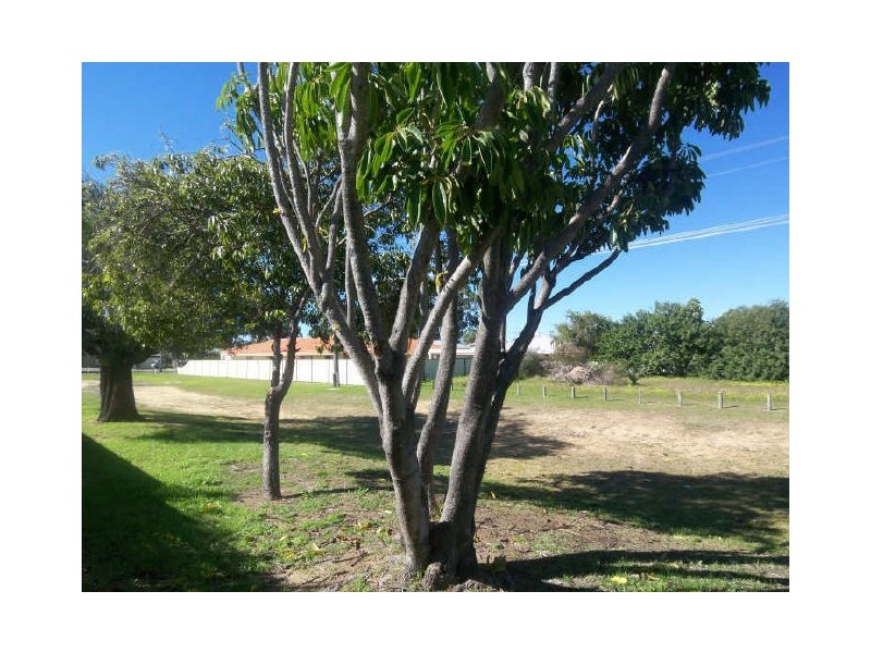 14A Kitchener Street, Dudley Park WA 6210