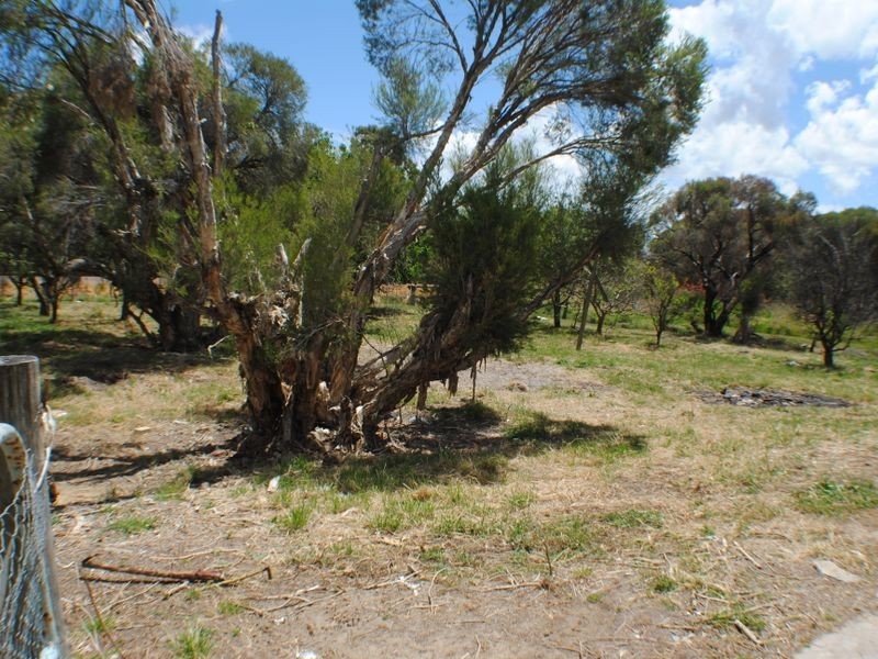 99 Alderson Street, Pinjarra WA 6208