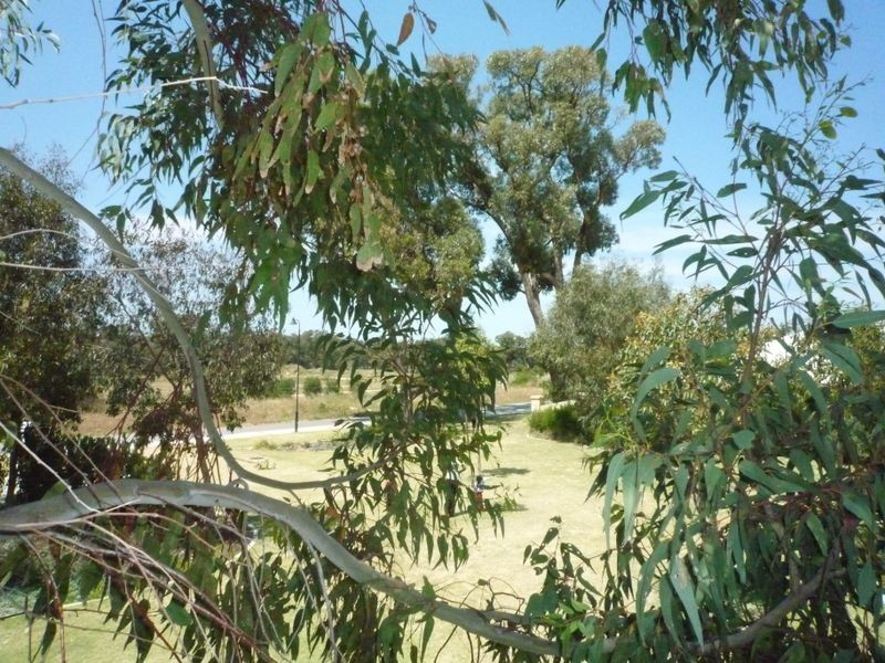 26 Evella Cove, Lakelands WA 6180