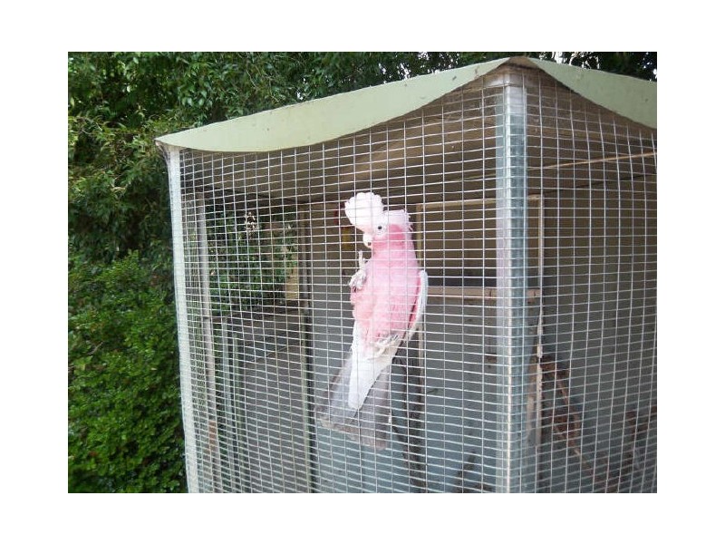 26A Candelo Loop, Greenfields WA 6210