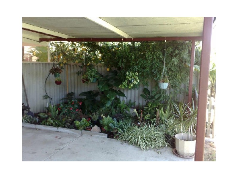 10 Salter Street, Pinjarra WA 6208