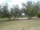 1 Clipper Way, Halls Head WA 6210