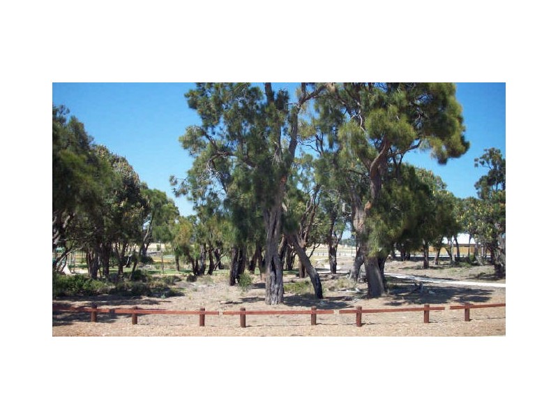 Lot 1691 Santalum Circus, Halls Head WA 6210