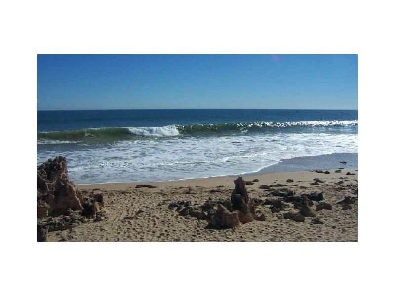 Lot 1691 Santalum Circus, Halls Head WA 6210