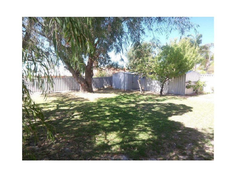 18 Oleander Place, Halls Head WA 6210