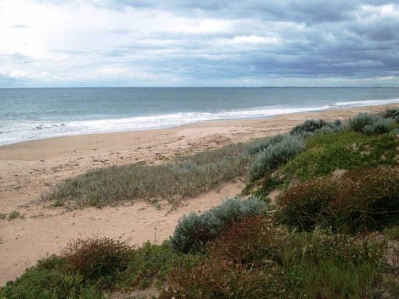 8 Harvest Chase, Madora Bay WA 6210