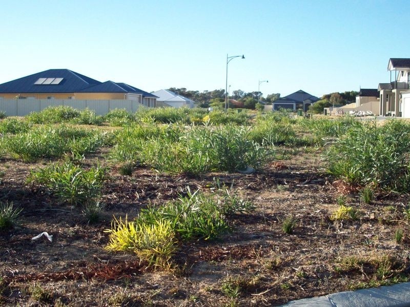 8 Harvest Chase, Madora Bay WA 6210