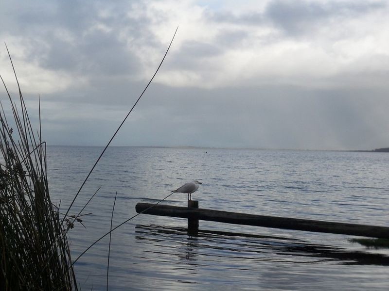 14 Cujong Road, Falcon WA 6210