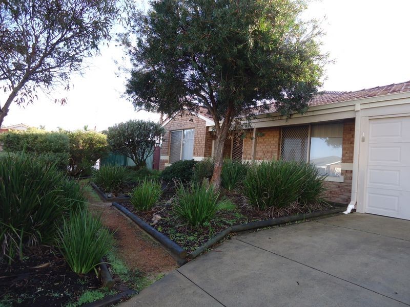 1 Elms Court, Erskine WA 6210