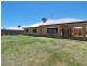 46 Buttercup Parkway, Halls Head WA 6210