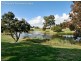 20 Tyneside Loop, Meadow Springs WA 6210
