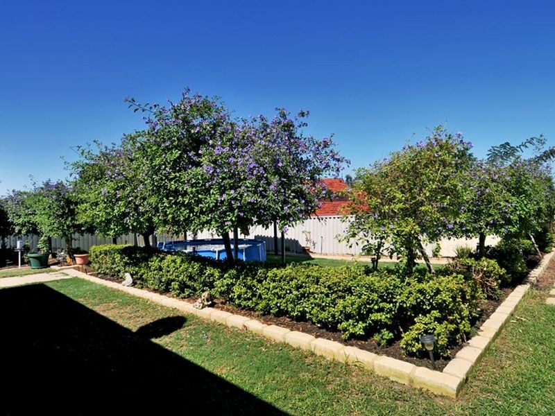16 Lambourne Place, Halls Head WA 6210