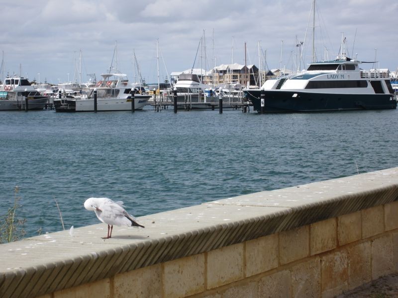 1a 23 Galileo Loop, Mandurah WA 6210