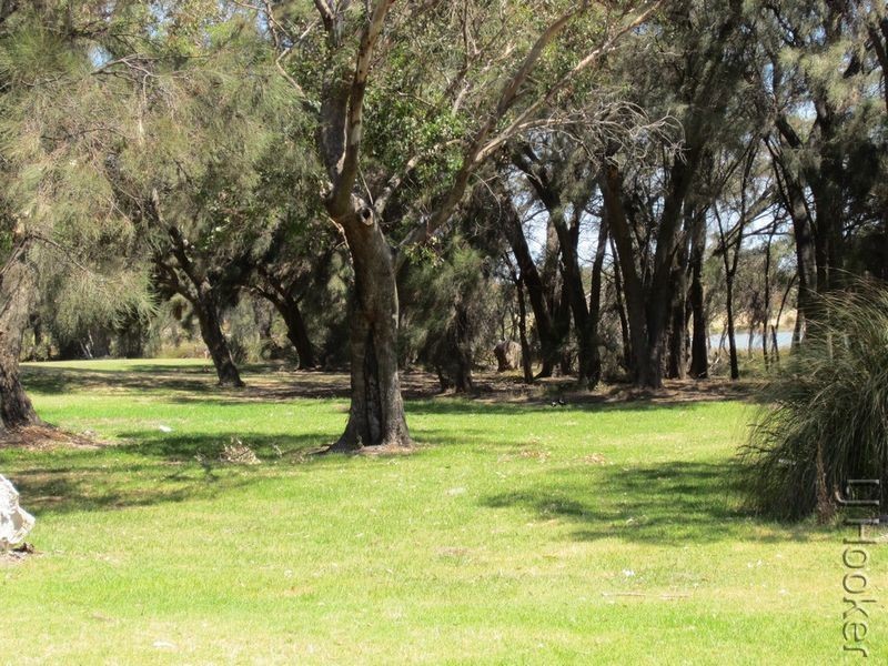 18 Heron Street, Dudley Park WA 6210