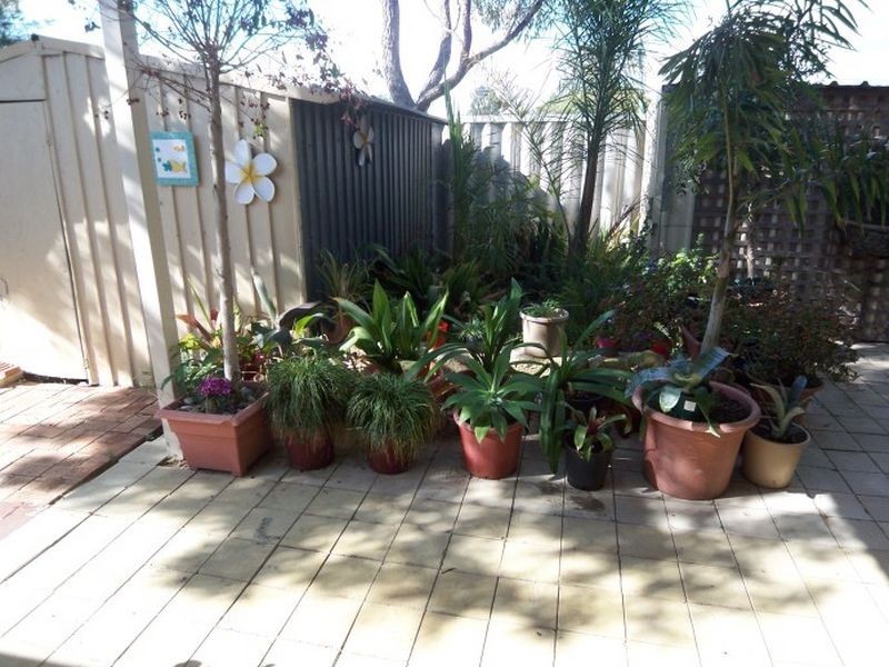 26 Steerforth Drive, Coodanup WA 6210