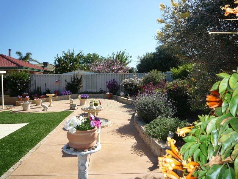 19 Floribunda Avenue, Halls Head WA 6210