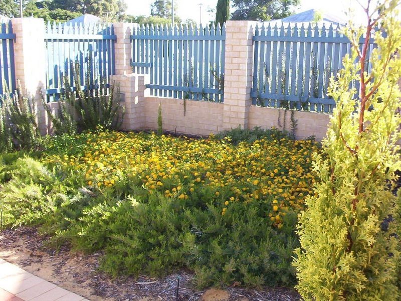 41 Forrest Street, Mandurah WA 6210