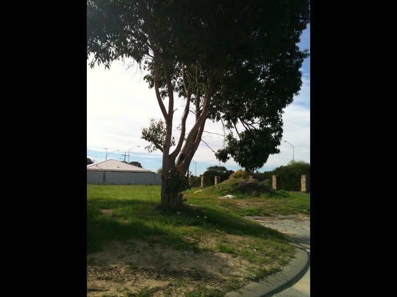 6 Castilloa Court, Halls Head WA 6210