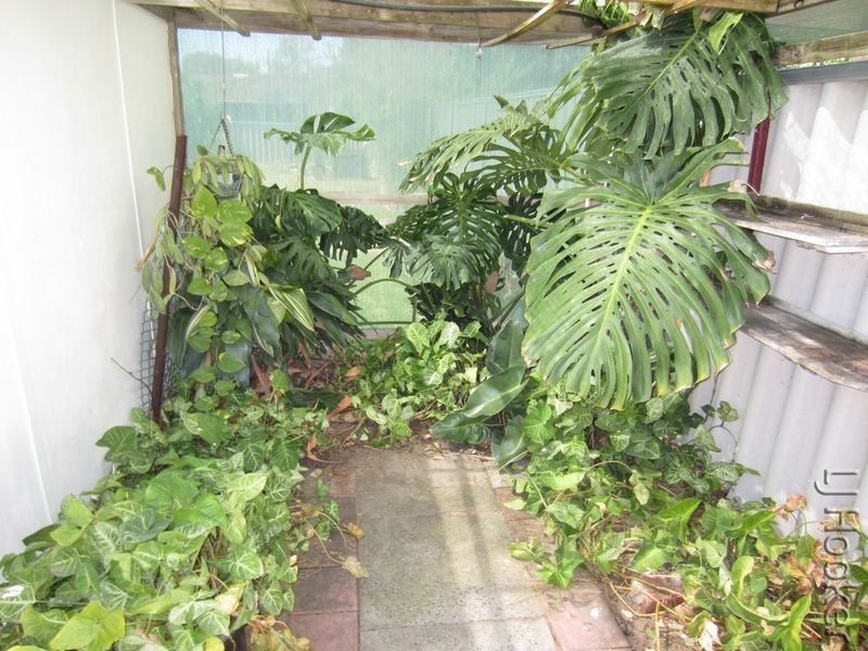 26 Goomarl Street, Dudley Park WA 6210