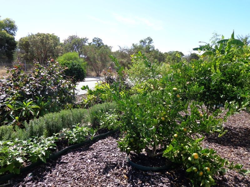 36 Ravendale Drive, Dudley Park WA 6210