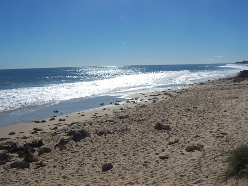 11 Breynia Link, Halls Head WA 6210