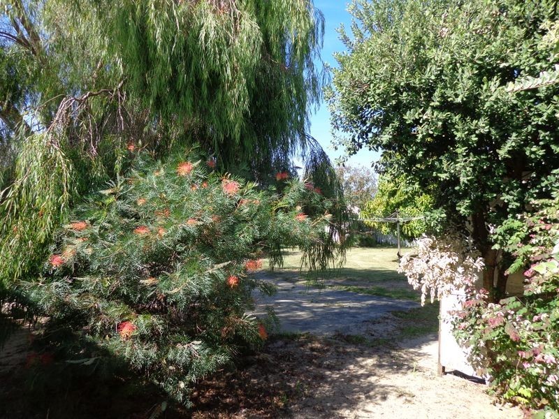 19 Duncan Road, Coodanup WA 6210