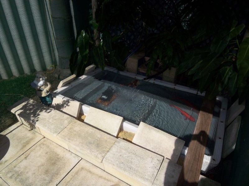 40 Reynolds Avenue, Greenfields WA 6210