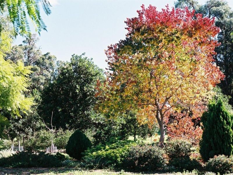 2776 Old Coast Rd, Lake Clifton WA 6215