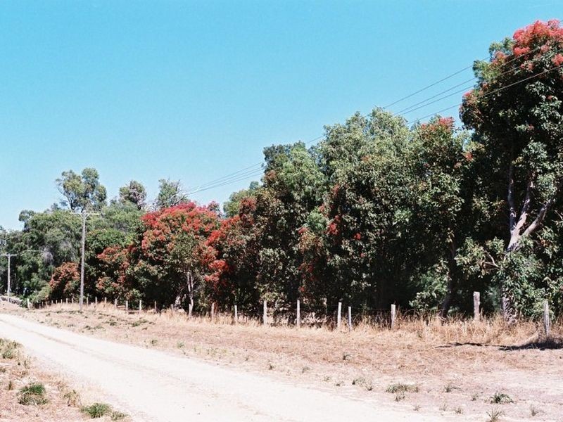 2776 Old Coast Rd, Lake Clifton WA 6215