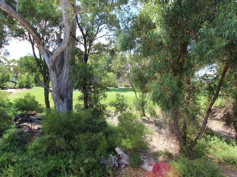 17 Mayfair Mews, Meadow Springs WA 6210