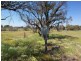 109 Greyhound Retreat, Nambeelup WA 6207
