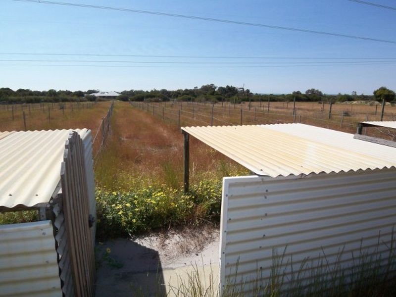 109 Greyhound Retreat, Nambeelup WA 6207