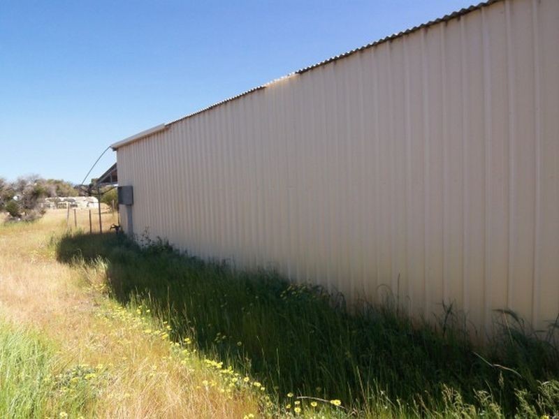 109 Greyhound Retreat, Nambeelup WA 6207