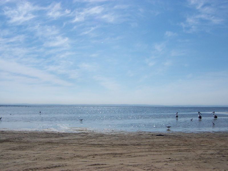 5 Georgette Court, Falcon WA 6210