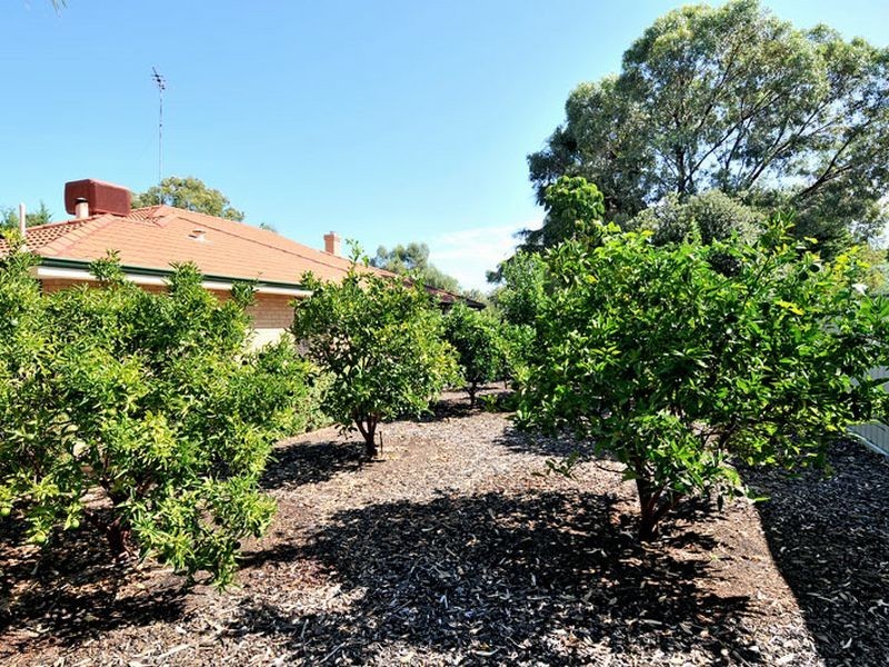 2 Hopevale Place, Erskine WA 6210