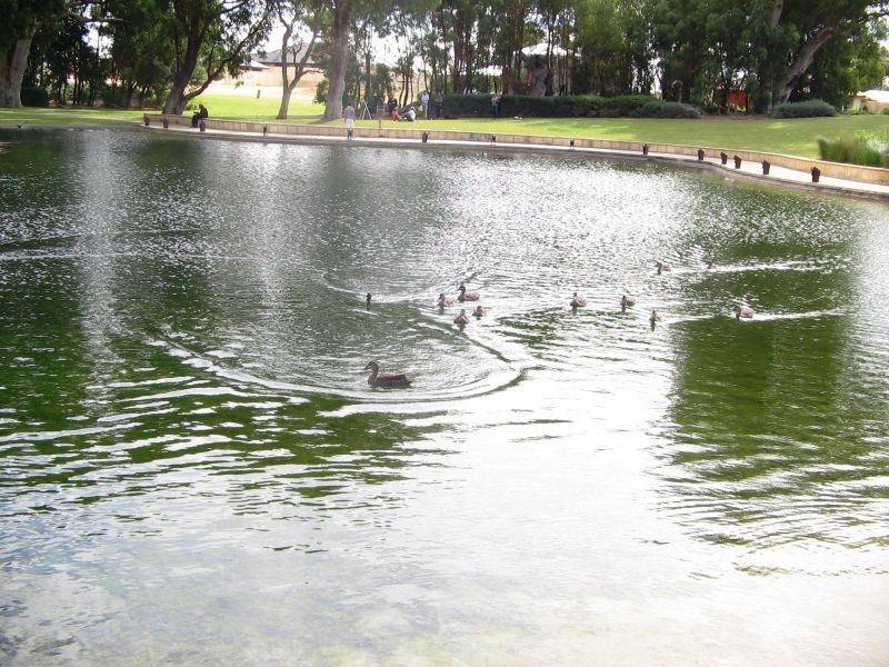 8 Brazier Way, Lakelands WA 6180