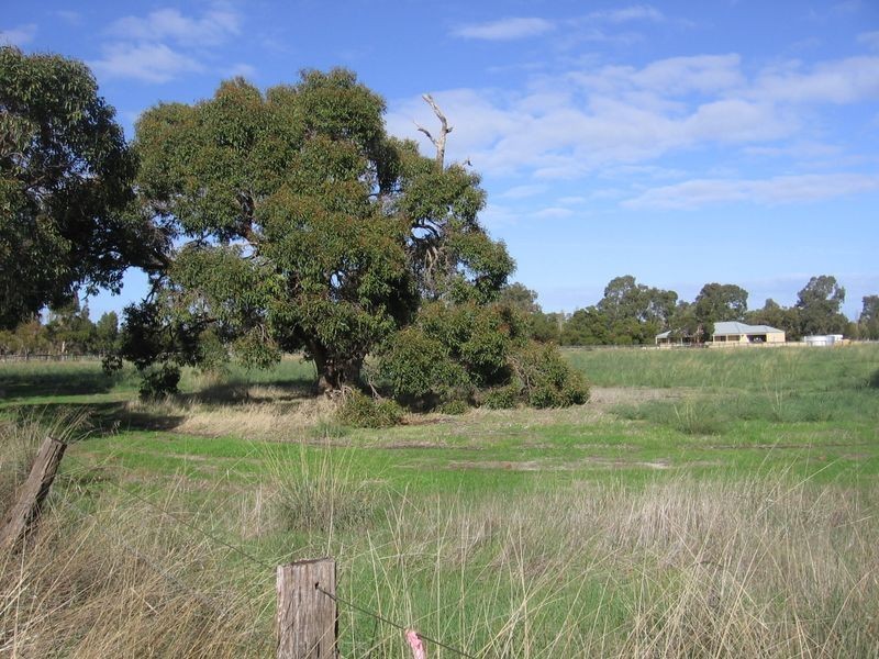 Lot 160 Hall Street, Serpentine WA 6125