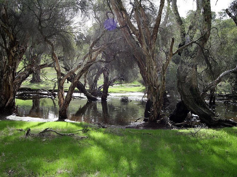 920 Bannister-Marradong Road, Boddington WA 6390