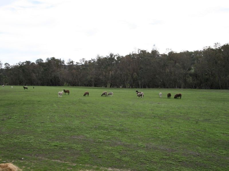 920 Bannister-Marradong Road, Boddington WA 6390