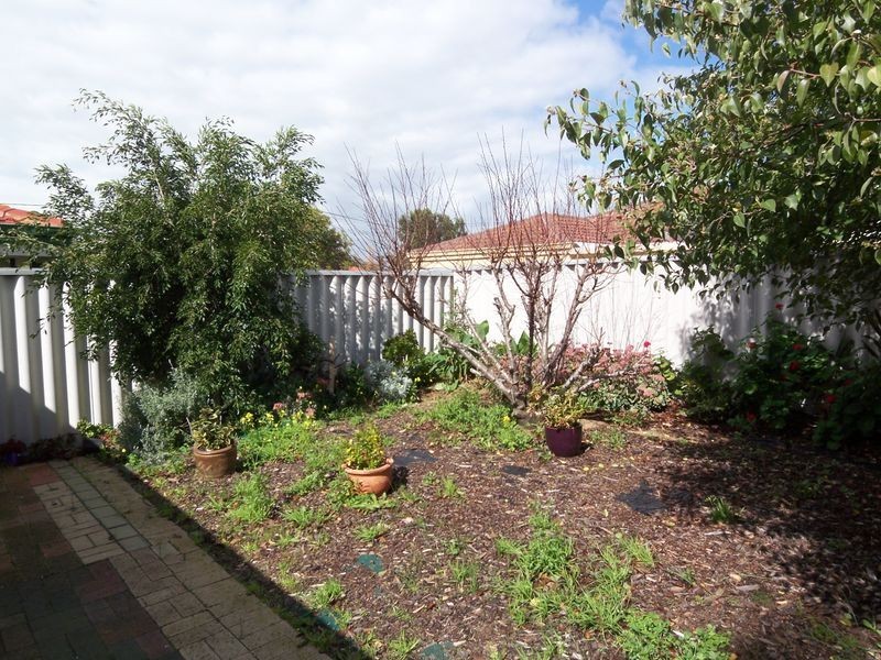 25 Casula Avenue, Coodanup WA 6210