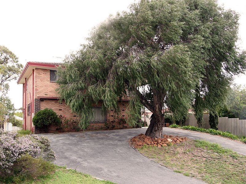 40 Shayne Street, Halls Head WA 6210